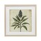 Stupell Industries Vintage Blue Botanical Illustration Framed Print Under Glass, design by Petal Prints Design